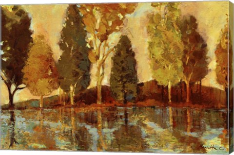 Framed Trees On The Lake Print