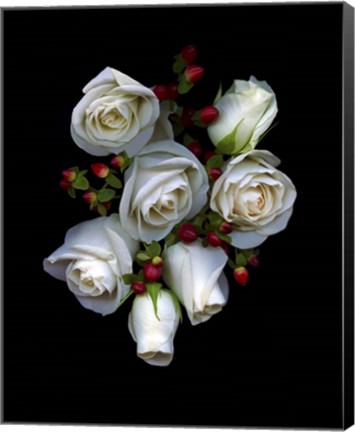 Framed White Roses Red Berries Print