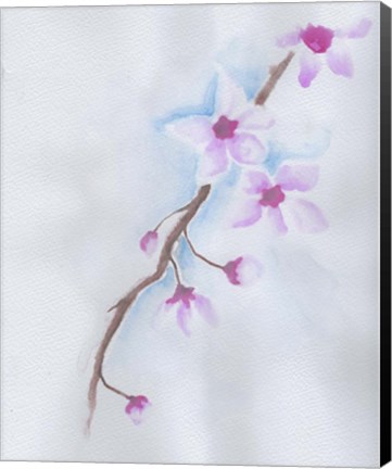 Framed Cherry Blossoms Print