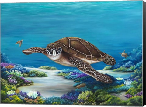 Framed Roaming Reef Print