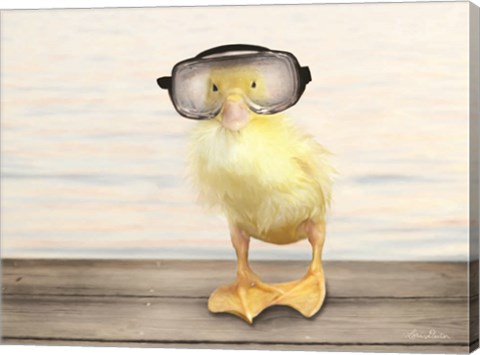 Framed Diving Duck Print