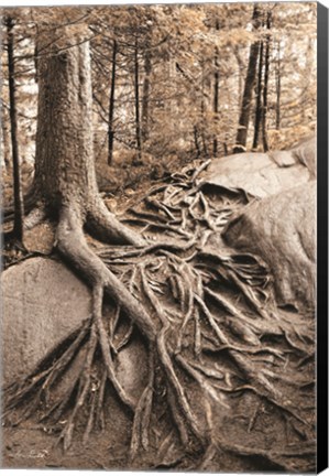 Framed Strong Roots Print