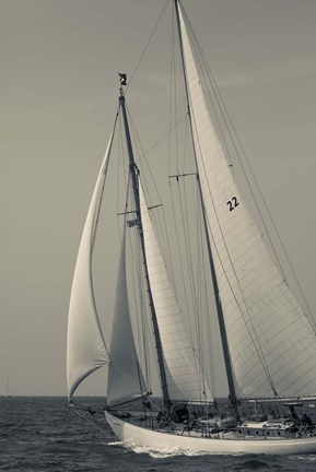 Framed Schooner #22 Sailing, Massachusetts (BW) Print