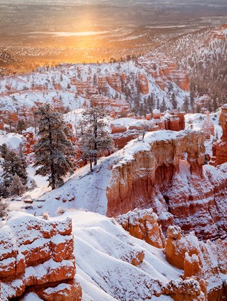 Framed Sunrise Point After Fresh Snowfall At Bryce Canyon National Park Print