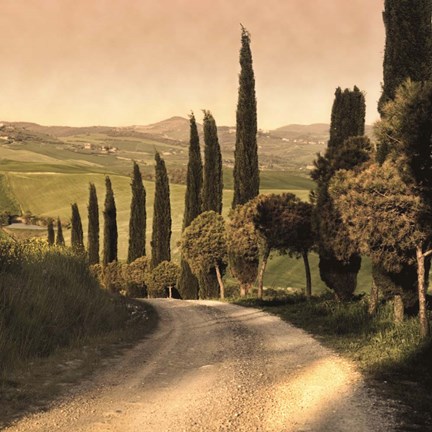 Framed Country Lane, Tuscany Print