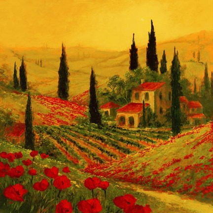 Framed Poppies of Toscano II Print