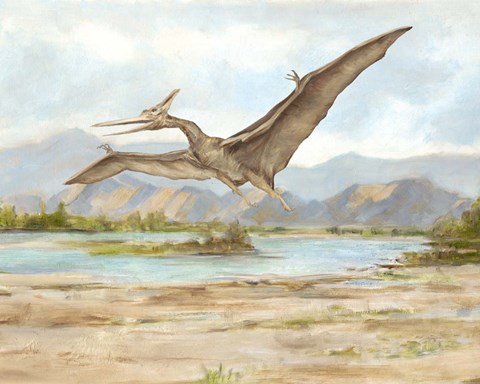 Framed Dinosaur Illustration VI Print