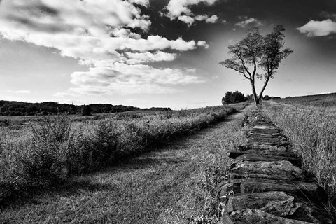 Framed Stone Wall Print