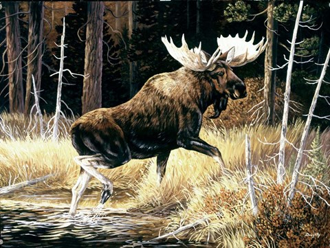 Framed Moose Print