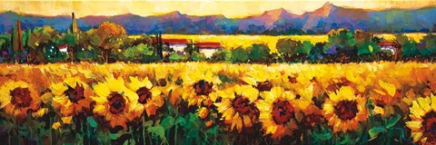 Framed Sweeping Fields of Sunflowers Print