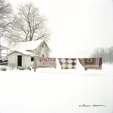 Framed Quilts in Snow Print