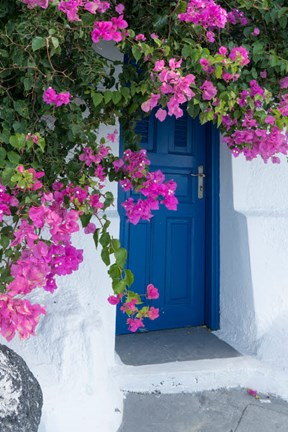 Framed Greece, Santorini A Picturesque Blue Door Is Surrounded By Pink Bougainvillea In Firostefani Print