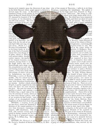 Framed Nosey Cow 2 Book Print Print