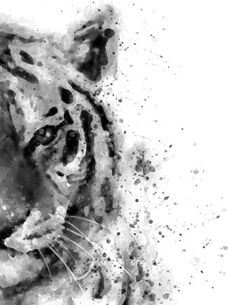Framed Tiger At Attention Print