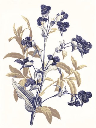 Framed Indigo Flowers Print