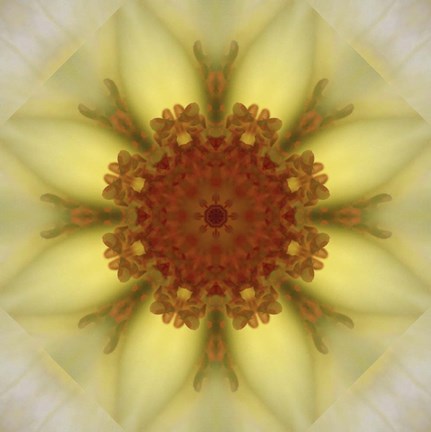 Framed Colorful Kaleidoscope 21 Print