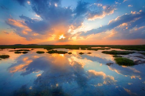 Framed Plum Island Print