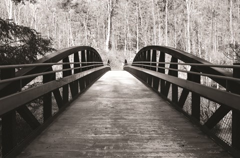 Framed Wiconisco Creek Bridge Print