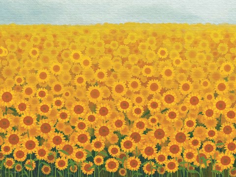 Framed Field of Sunflowers Print