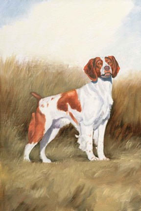 Framed Hunting Dog I Print