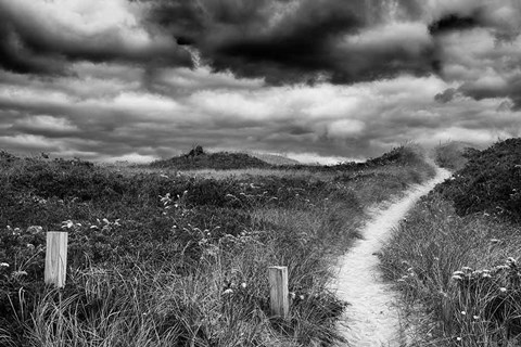 Framed Nantucket Pathway Print