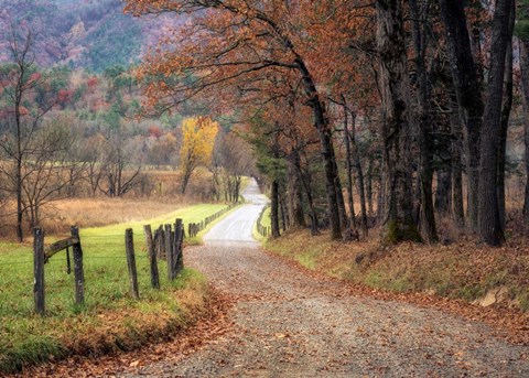 Framed Autumn Drive I Print