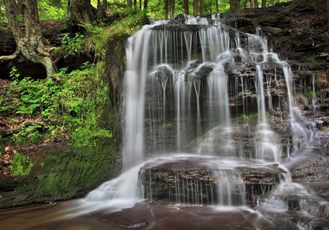 Framed Gunn Brooks Falls Print