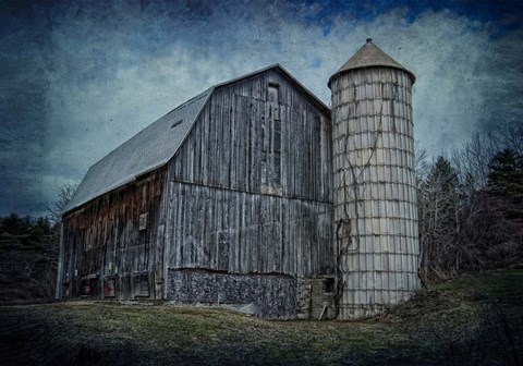 Framed Still Standing Print