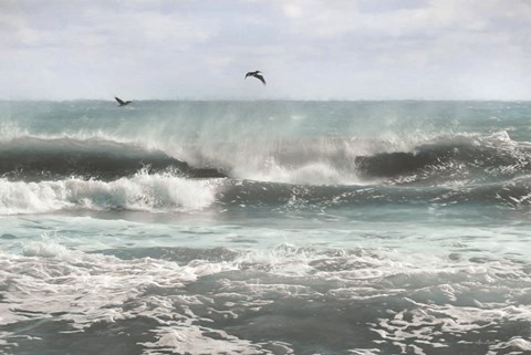 Framed Sea Birds Among the Waves Print