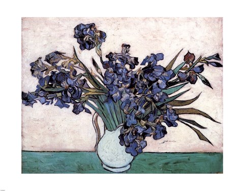 Framed Irises in Vase, c.1890 Print