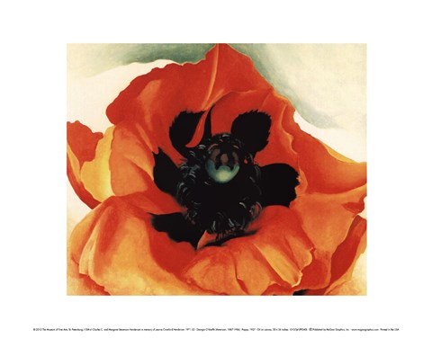 Framed Poppy, 1927 Print