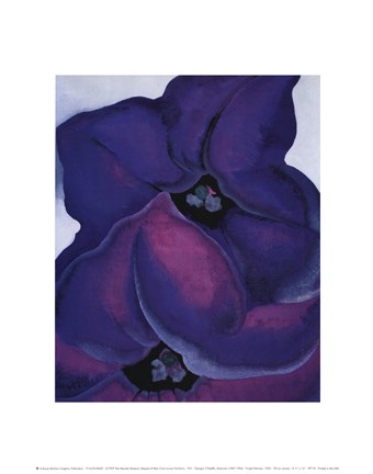 Framed Purple Petunias, 1925 Print