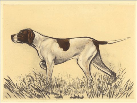 Framed Hunting Dogs-Pointer Print