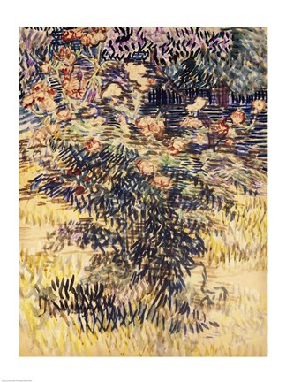 Framed Oleanders, the Hospital Garden at Saint-Remy, 1889 Print