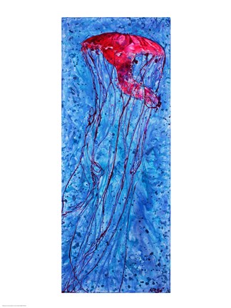 Framed Jellyfish Print