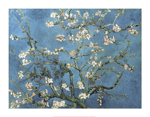 Framed Almond Blossom, 1890 Print