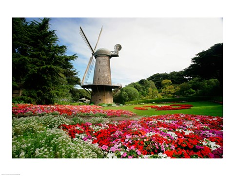 Framed Low angle view of a windmill in a park, Golden Gate Park, San Francisco, California, USA Print
