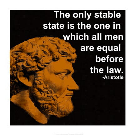Framed Aristotle Quote Print