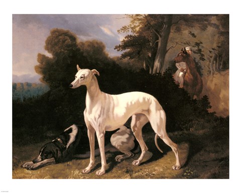 Framed Alfred Dedreux - A Greyhound In An Extensive Landscape Print