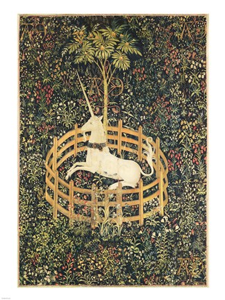 Framed Unicorn in Captivity Print