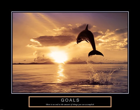 Framed Goals - Dolphins Print