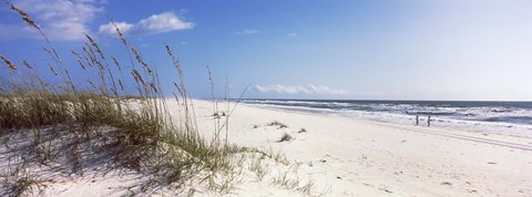 Framed Tall grass on the beach, Perdido Key Area, Gulf Islands National Seashore, Pensacola, Florida, USA Print