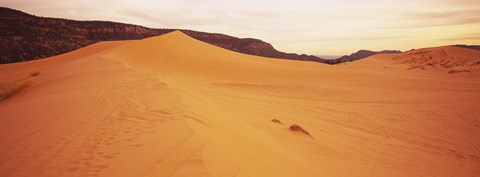 Framed Sand dunes in a desert, Coral Pink Sand Dunes State Park, Utah, USA Print