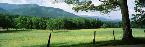 Framed Meadow Surrounded By Barbed Wire Fence, Cades Cove, Great Smoky Mountains National Park, Tennessee, USA Print