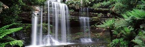 Framed Waterfall in a forest, Russell Falls, Mt Field National Park, Tasmania, Australia Print