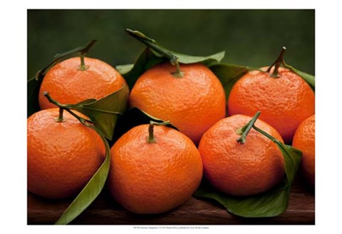 Framed Satsuma Tangerines I Print