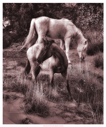 Framed Beach Horses II Print
