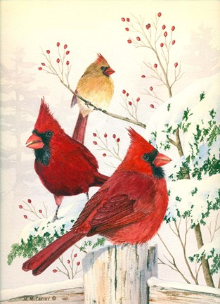 Framed Cardinals In Winter Print