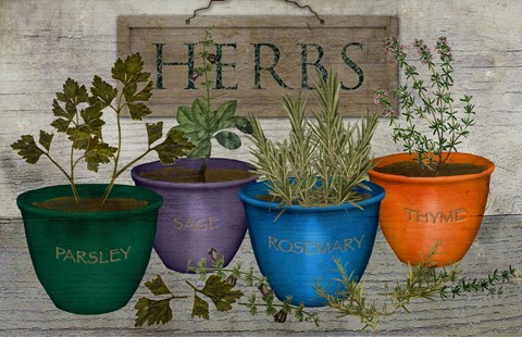 Framed Potted Herbs Print