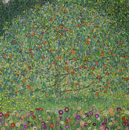 Framed Apple Tree  I, 1912 Print